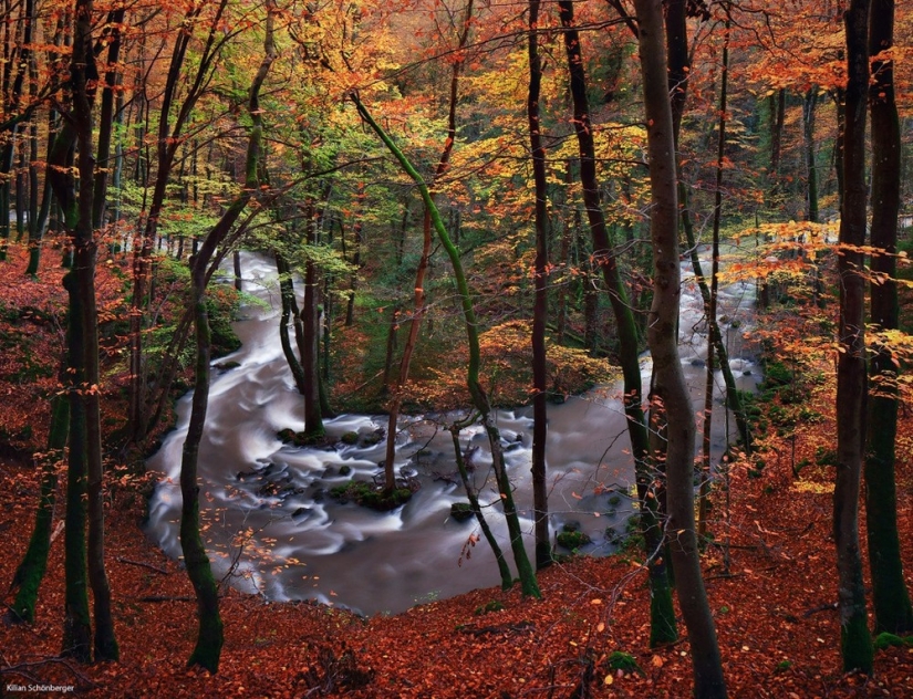 22 paisajes increíbles inspirados en los cuentos de los Hermanos Grimm