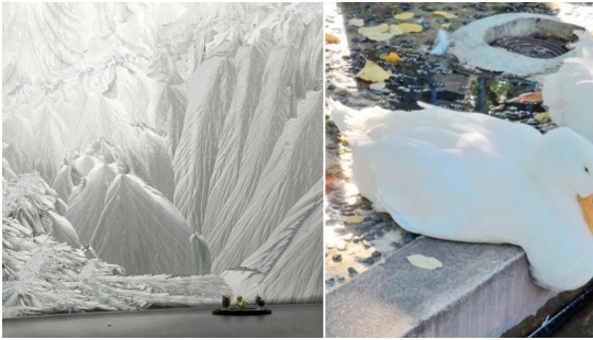 22 people who don't need photoshop to take a stunning photo 22 people who don't need photoshop to take a stunning photo