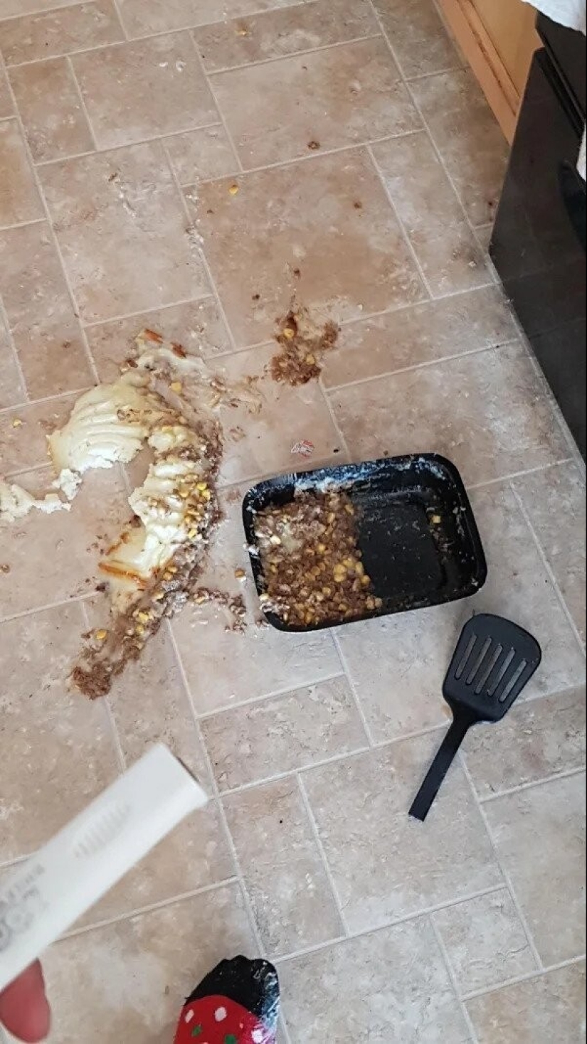 22 people who had an extremely bad day 22 people who had an extremely bad day