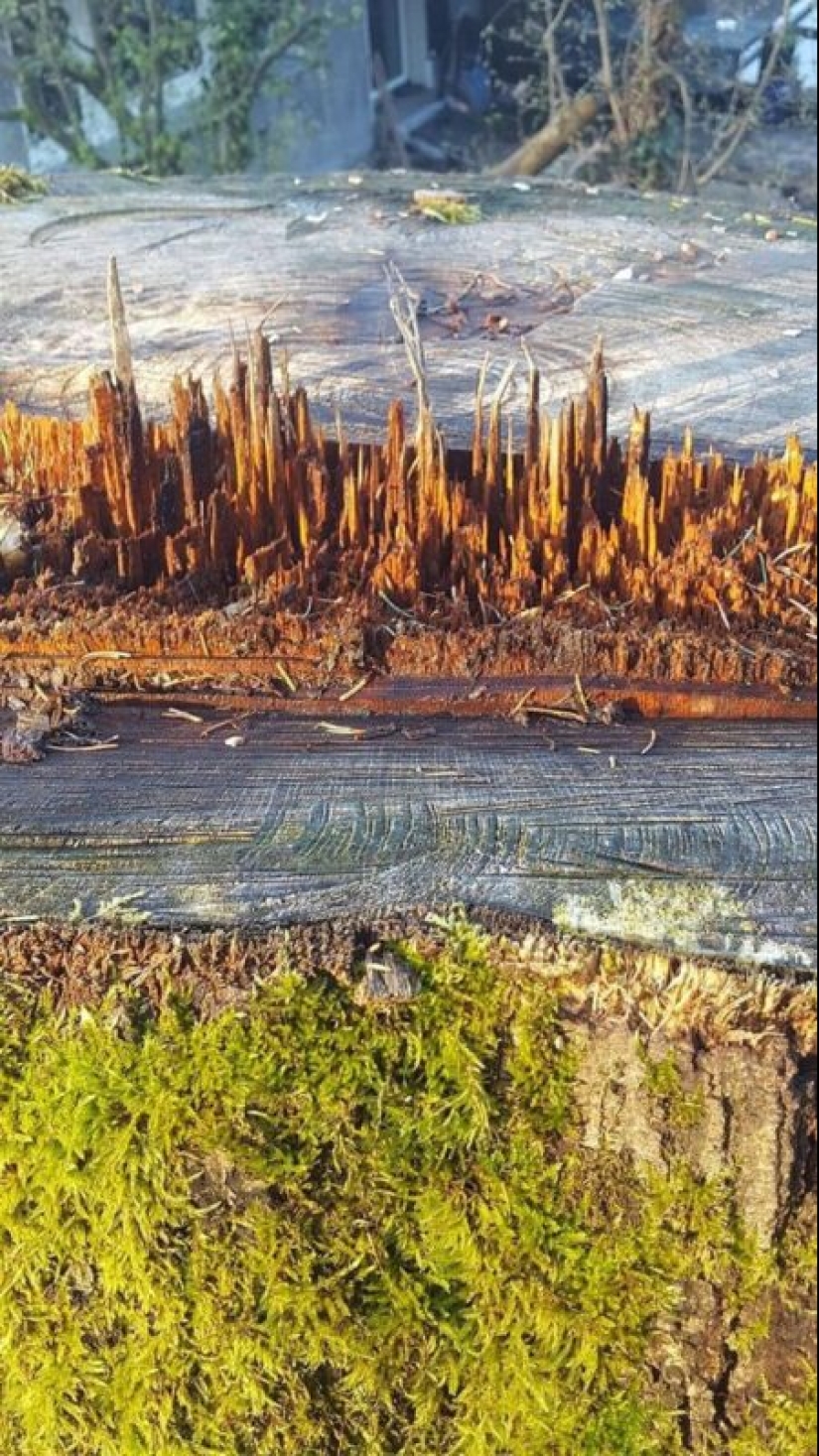 22 people who were lucky enough to make amazing finds 22 people who were lucky enough to make amazing finds