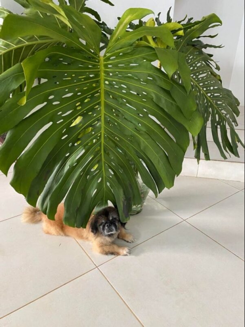 22 people who were lucky enough to make amazing finds 22 people who were lucky enough to make amazing finds