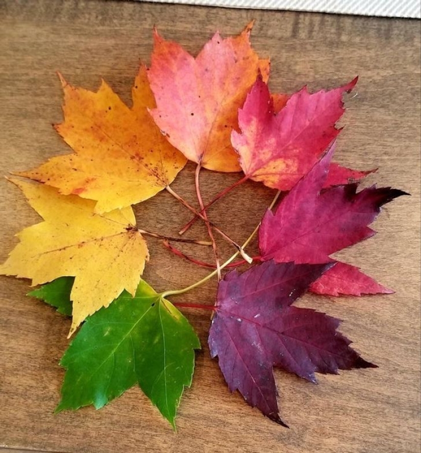 22 people who were lucky enough to make amazing finds 22 people who were lucky enough to make amazing finds