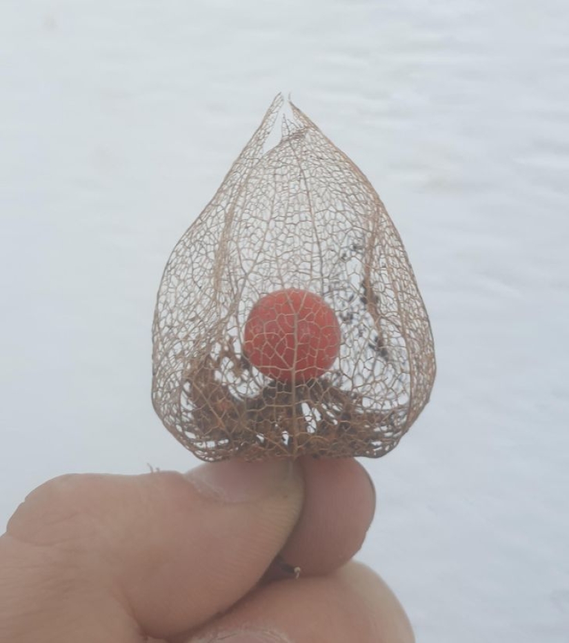 22 personas afortunadas compartieron sus increíbles hallazgos 22 personas afortunadas compartieron sus increíbles hallazgos