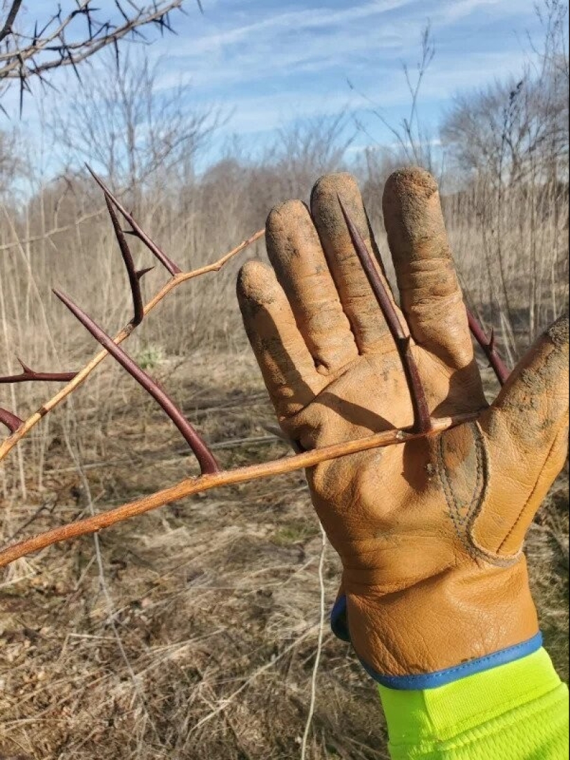 22 personas que tuvieron la suerte de hacer hallazgos increíbles 22 personas que tuvieron la suerte de hacer hallazgos increíbles