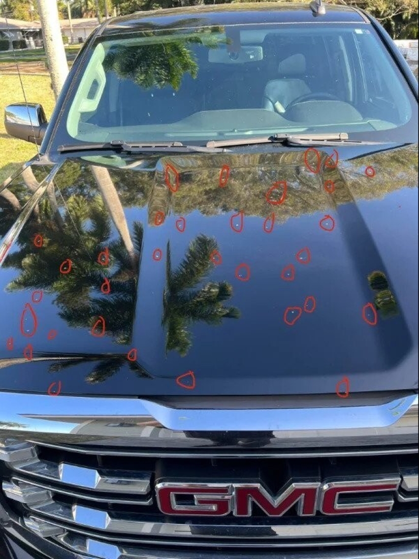 22 personas que tuvieron la suerte de hacer hallazgos increíbles 22 personas que tuvieron la suerte de hacer hallazgos increíbles