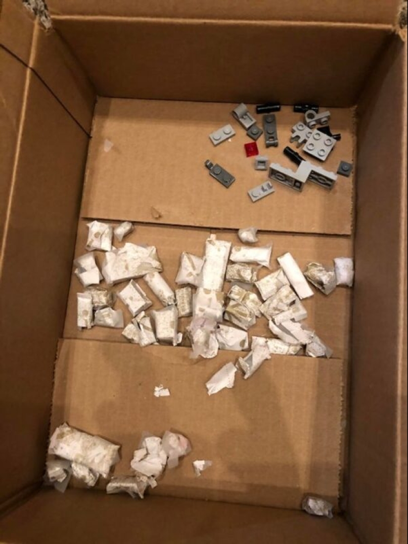 22 photo evidence that real men are never insured 22 photo evidence that real men are never insured