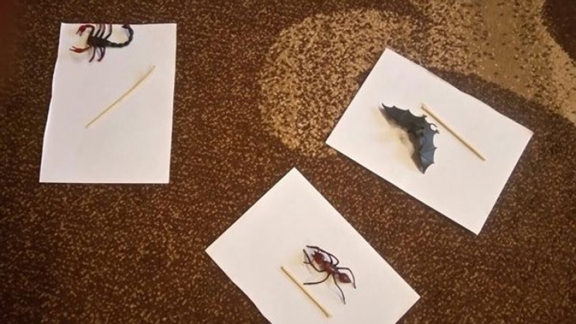 22 photo evidence that real men are never insured 22 photo evidence that real men are never insured