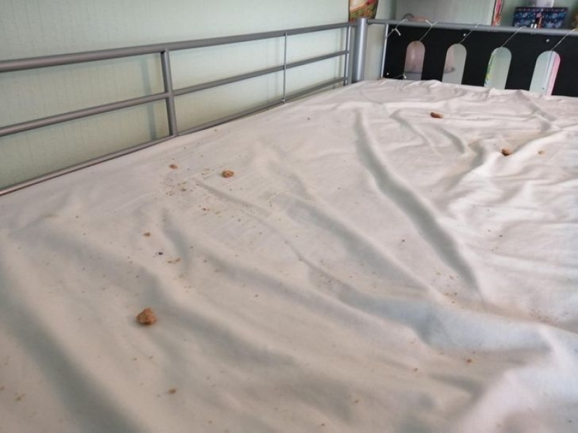 22 photo evidence that real men are never insured 22 photo evidence that real men are never insured