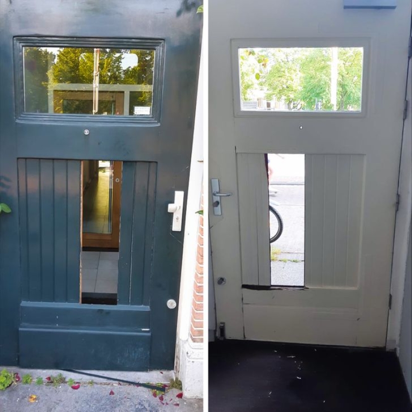 22 photo evidence that real men are never insured 22 photo evidence that real men are never insured