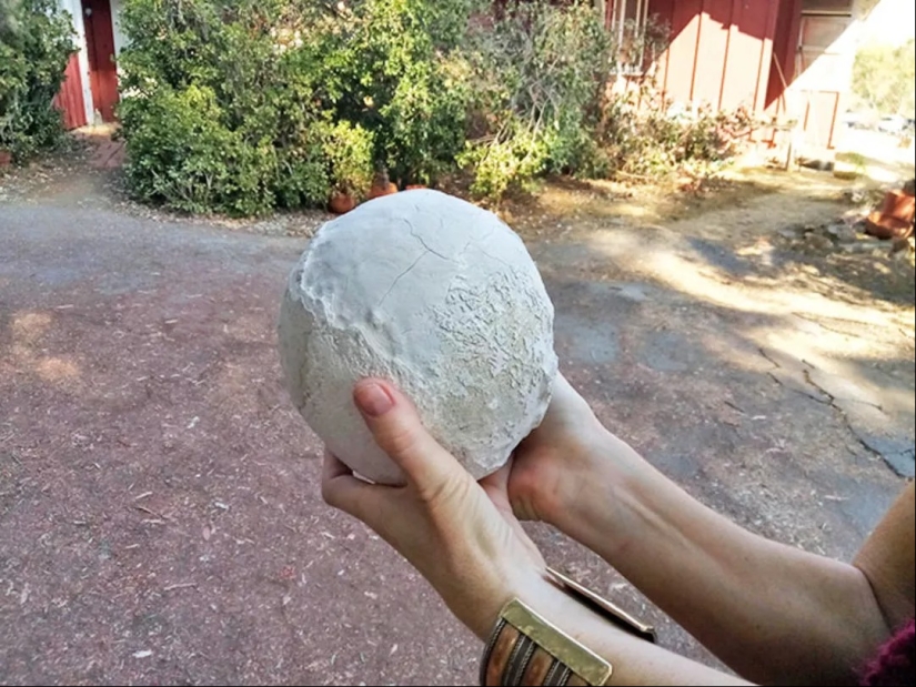 22 photos of amazing things that an ordinary person is unlikely to see live 22 photos of amazing things that an ordinary person is unlikely to see live