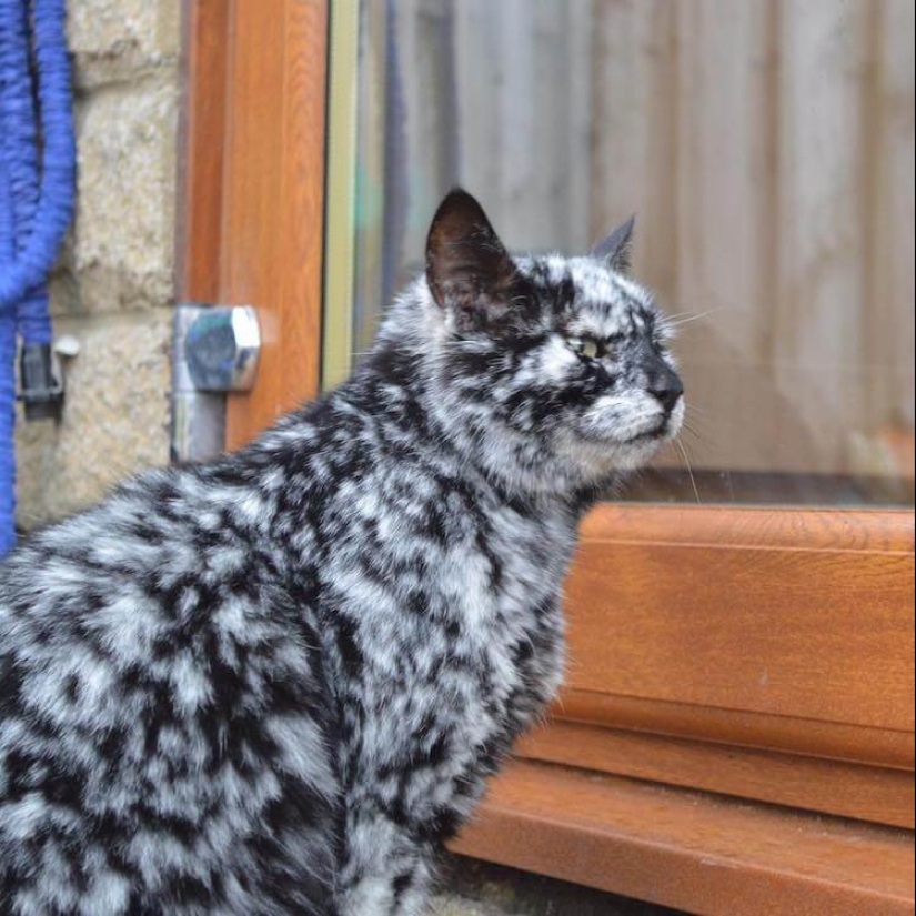 22 photos of amazing things that an ordinary person is unlikely to see live 22 photos of amazing things that an ordinary person is unlikely to see live