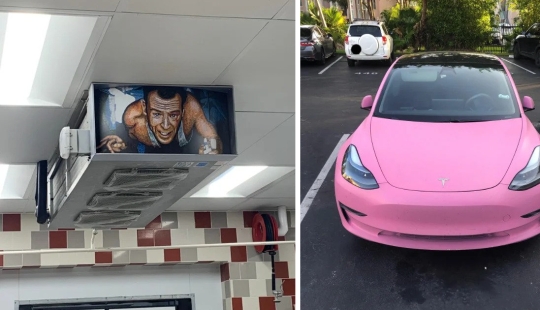 22 photos of interesting things that you won't see every day