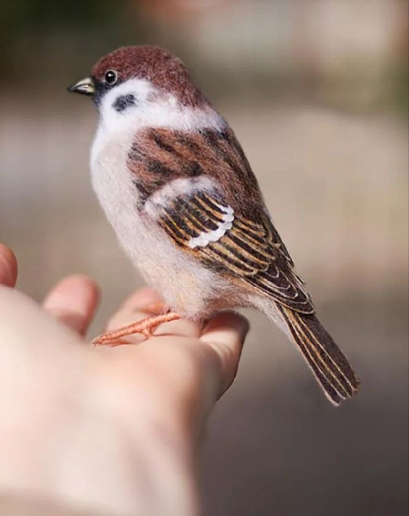 22 photos of unique things that real talents made with their own hands 22 photos of unique things that real talents made with their own hands