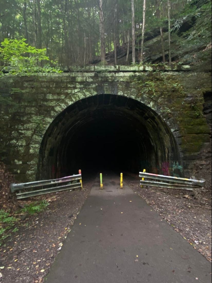 22 photos of very strange and even frightening things that actually exist