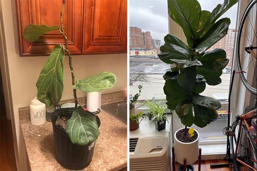 22 photos, once again proving that everything is known in comparison