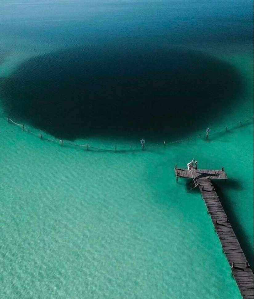 22 photos proving that the fear of water is not a joke to you! 22 photos proving that the fear of water is not a joke to you!