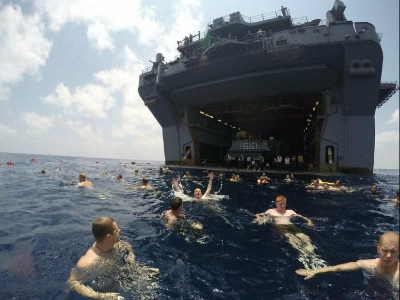 22 photos proving that the fear of water is not a joke to you! 22 photos proving that the fear of water is not a joke to you!