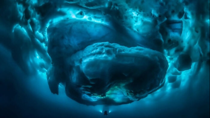 22 photos proving that the fear of water is not a joke to you! 22 photos proving that the fear of water is not a joke to you!