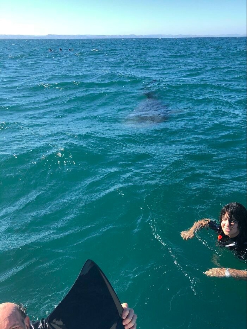 22 photos proving that the fear of water is not a joke to you! 22 photos proving that the fear of water is not a joke to you!