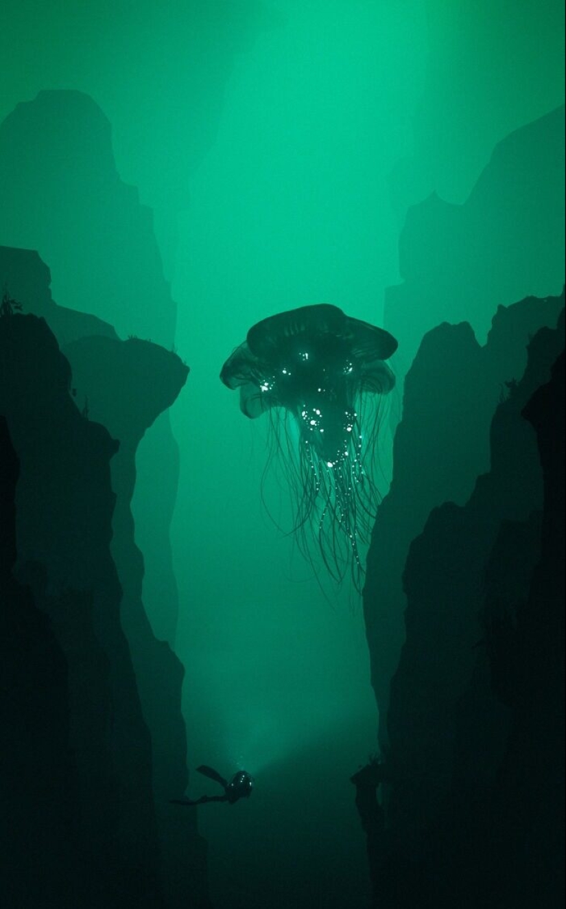 22 photos proving that the fear of water is not a joke to you! 22 photos proving that the fear of water is not a joke to you!