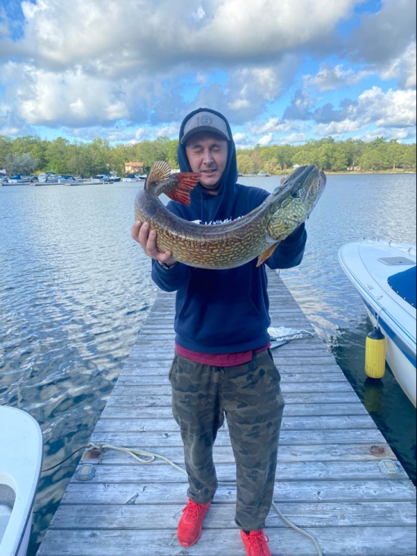 22 photos taken at the most opportune moment 22 photos taken at the most opportune moment