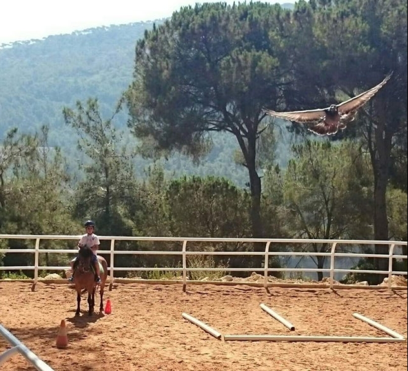 22 photos taken at the most opportune moment 22 photos taken at the most opportune moment