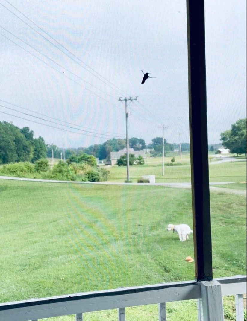 22 photos taken at the most opportune moment 22 photos taken at the most opportune moment