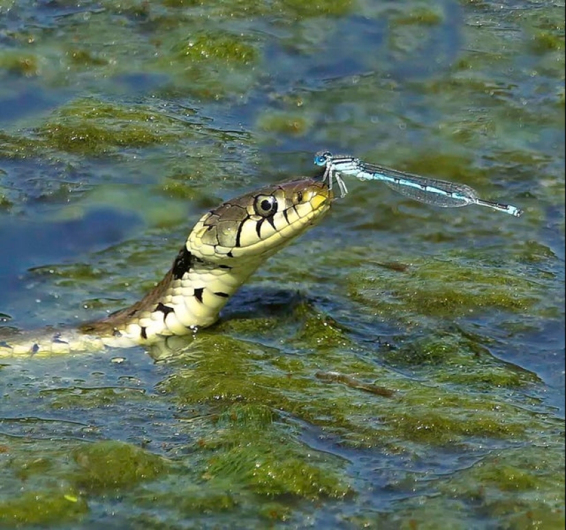 22 photos taken at the most opportune moment 22 photos taken at the most opportune moment