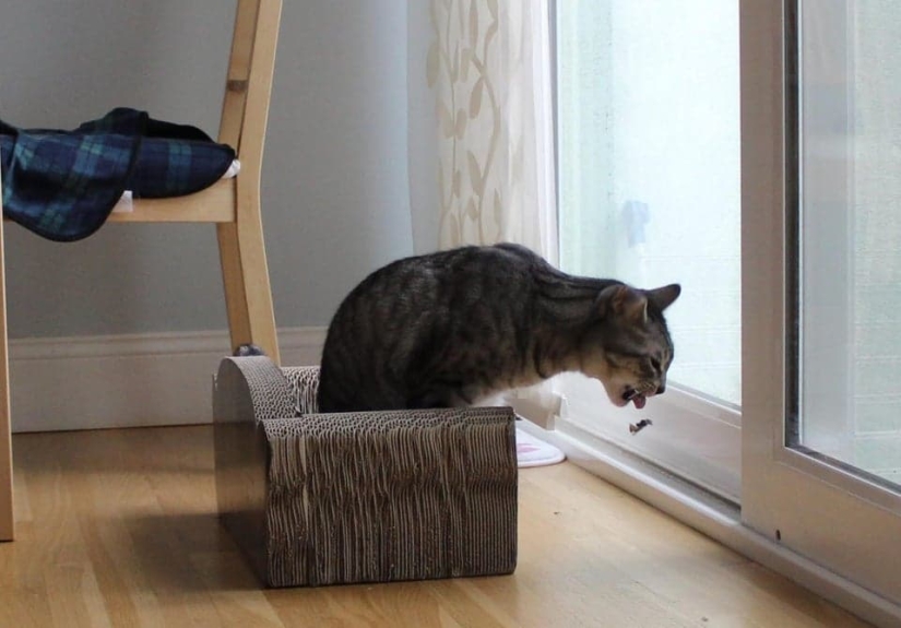 22 photos taken at the most opportune moment 22 photos taken at the most opportune moment