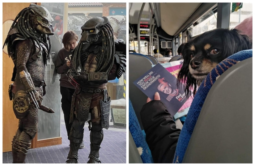 22 photos that have acquired a special meaning due to an unsuccessful angle