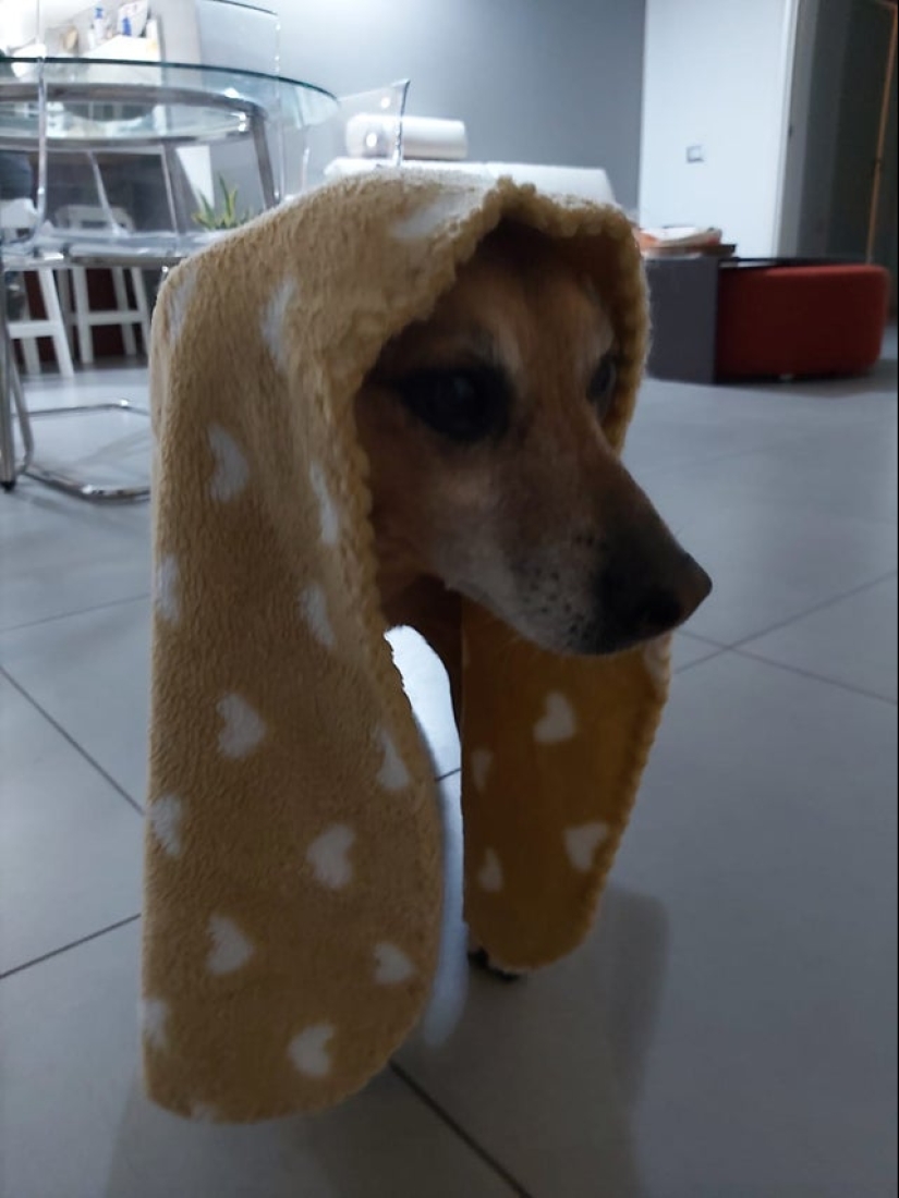 22 photos that have acquired a special meaning due to an unsuccessful angle