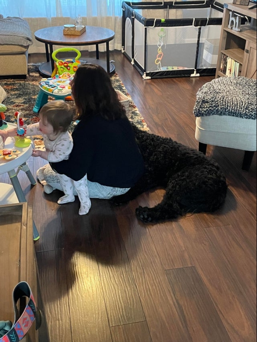 22 photos that have acquired a special meaning due to an unsuccessful angle