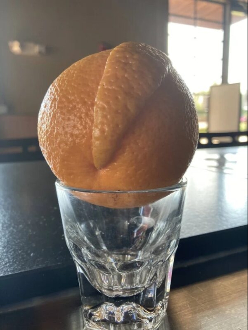 22 photos that prove that cows are the cutest creatures