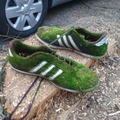 22 photos that prove that our world is an amazing and wonderful place