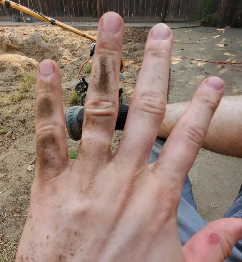 22 photos that prove that cows are the cutest creatures