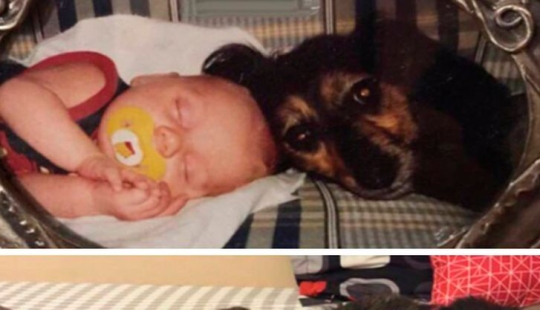 22 photos that show how irreversible the passage of time is