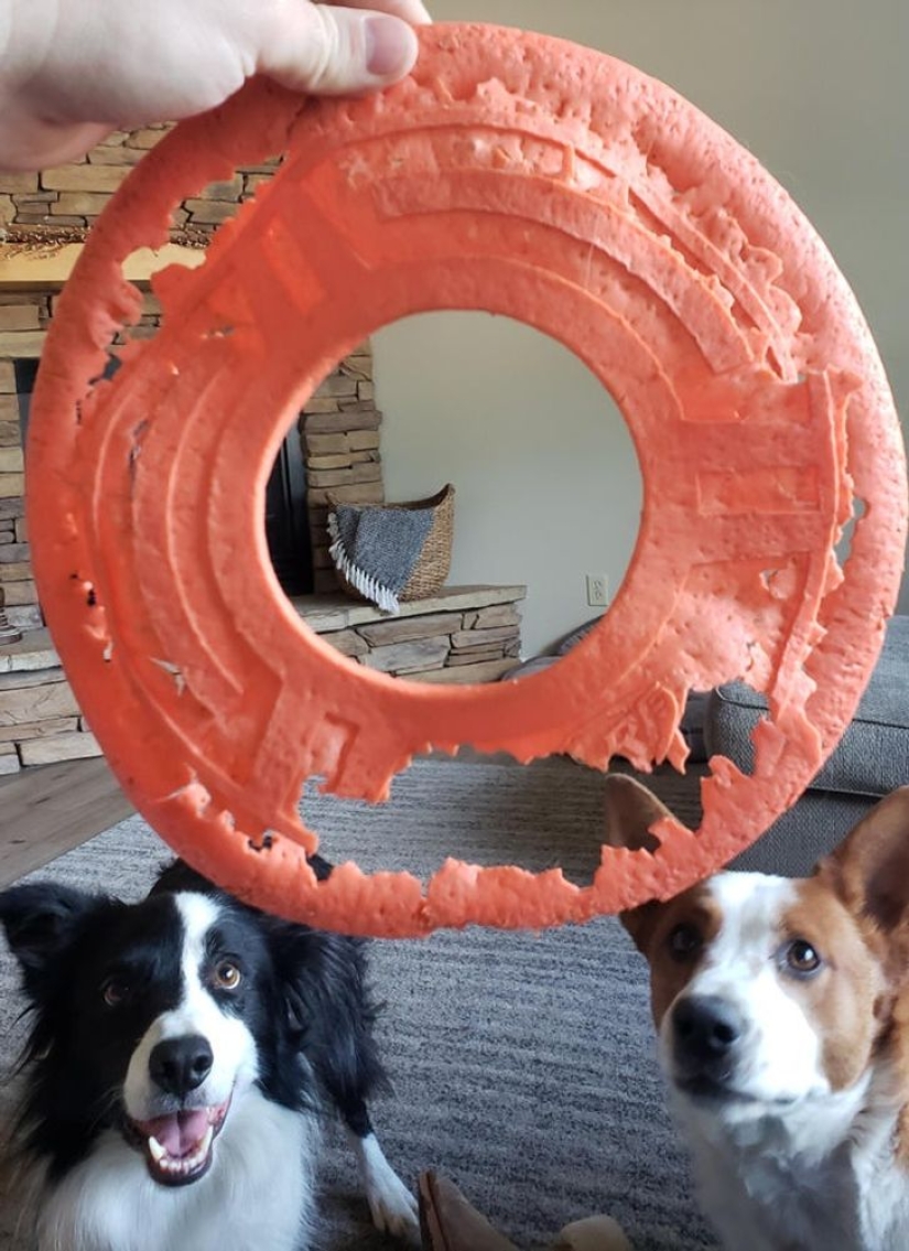 22 photos that Time itself could publish if it had a social media account 22 photos that Time itself could publish if it had a social media account