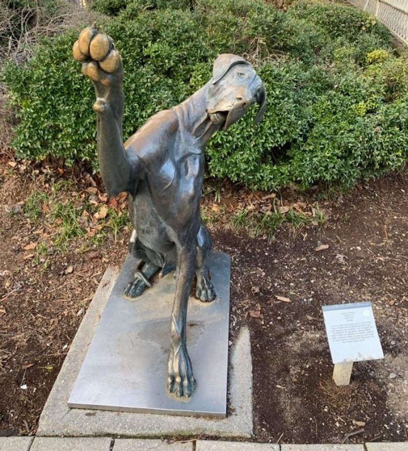 22 photos that Time itself could publish if it had a social media account 22 photos that Time itself could publish if it had a social media account