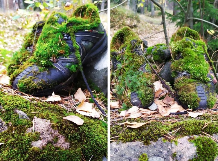 22 photos that Time itself could publish if it had a social media account 22 photos that Time itself could publish if it had a social media account