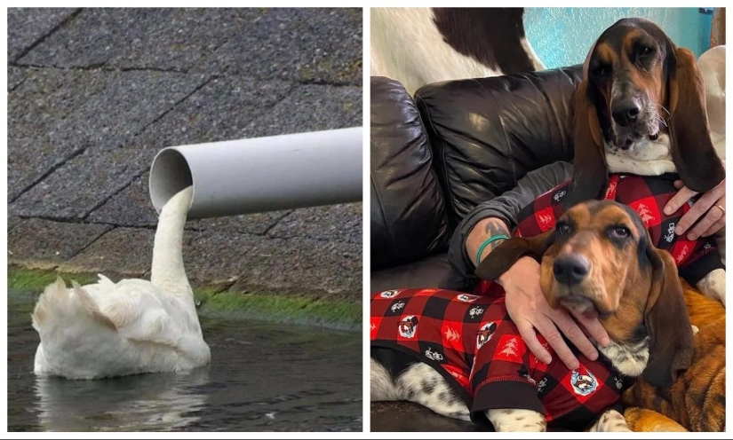 22 photos that you will have to look at from different angles