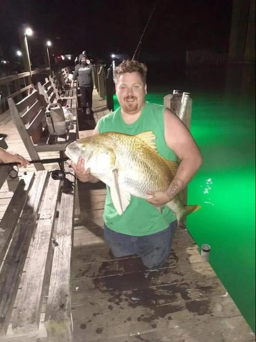 22 photos that you will have to look at from different angles