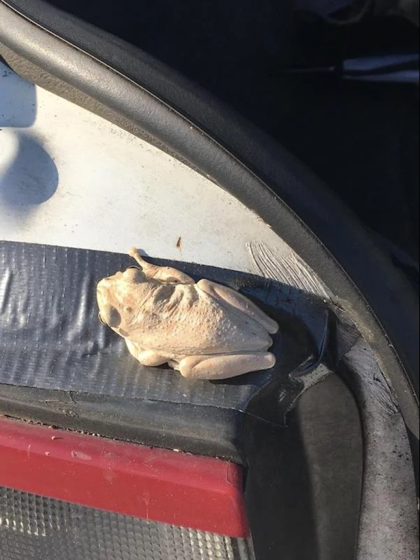 22 photos that you will have to look at from different angles