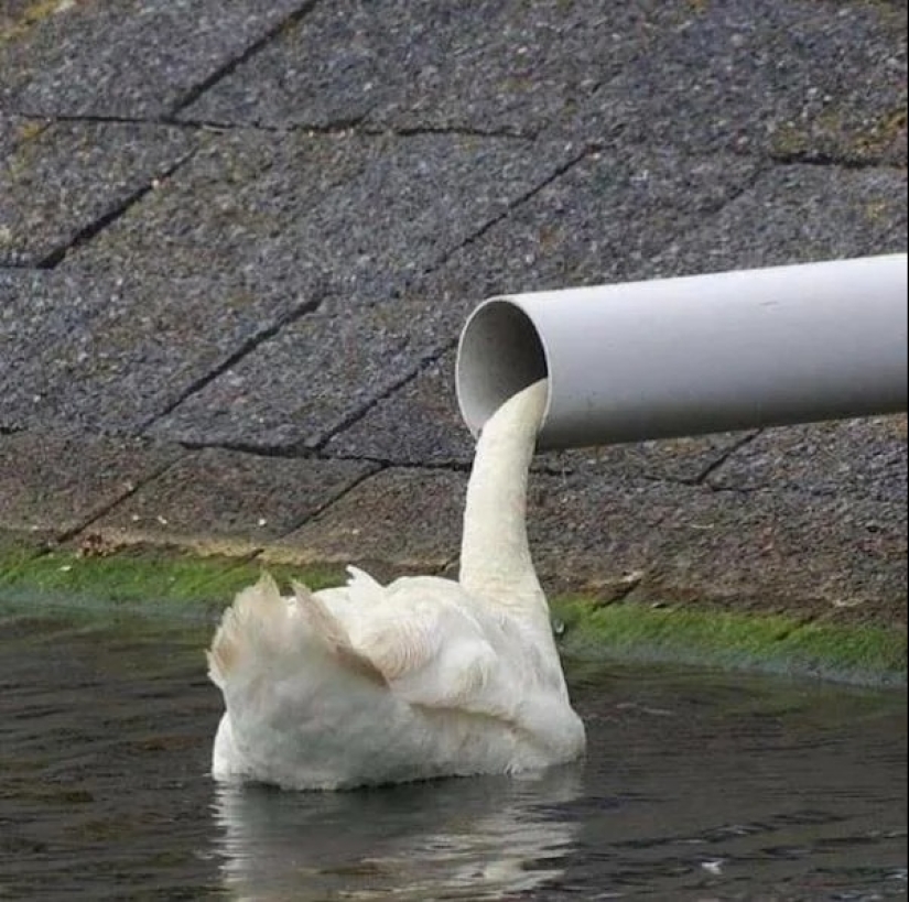 22 photos that you will have to look at from different angles