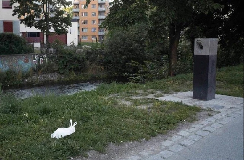 22 photos that you will have to look at from different angles