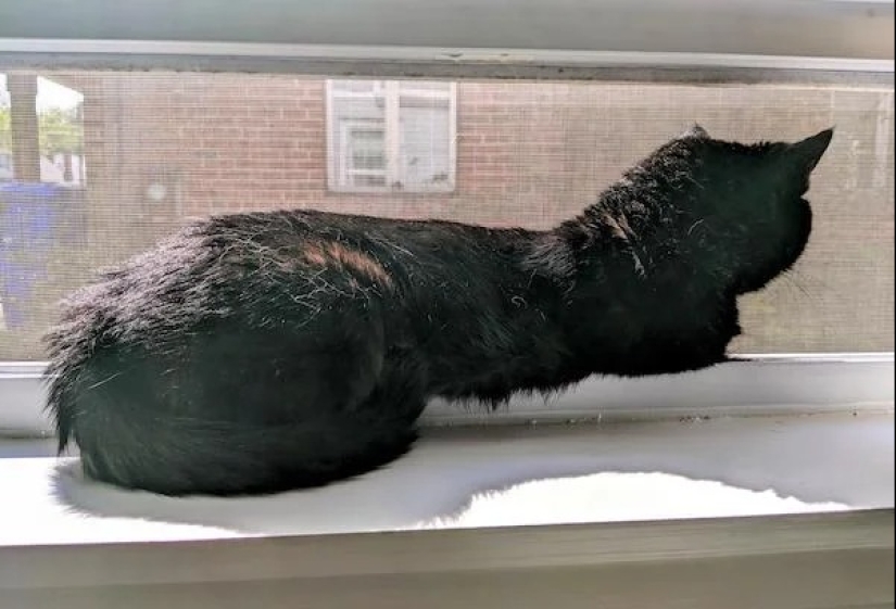 22 photos that you will have to look at from different angles