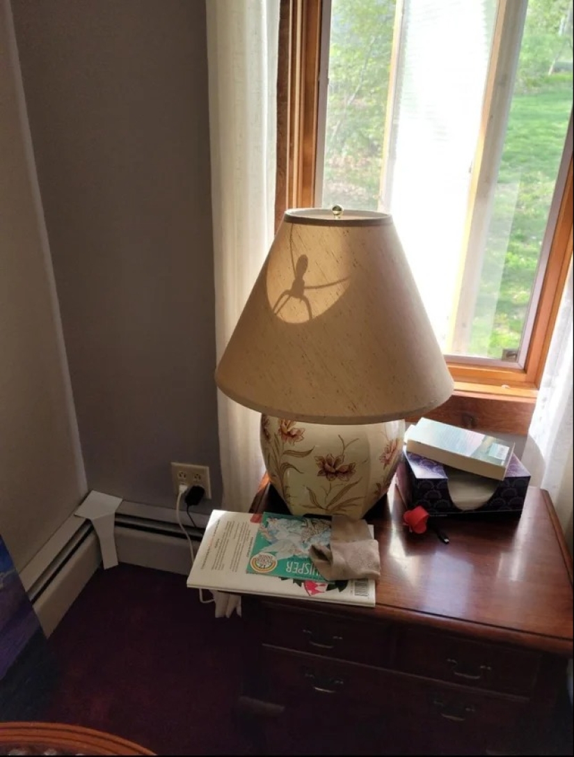 22 photos that you will have to look at from different angles