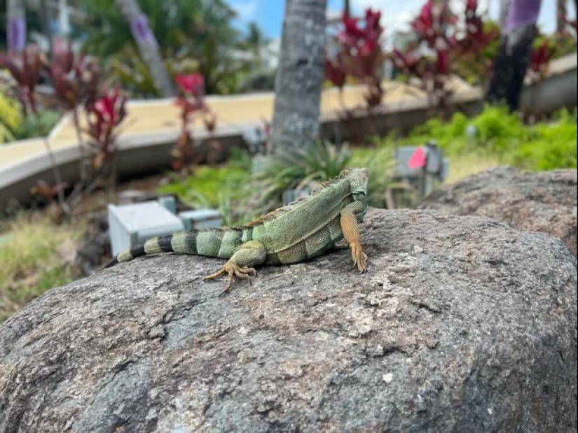 22 photos that you will have to look at from different angles