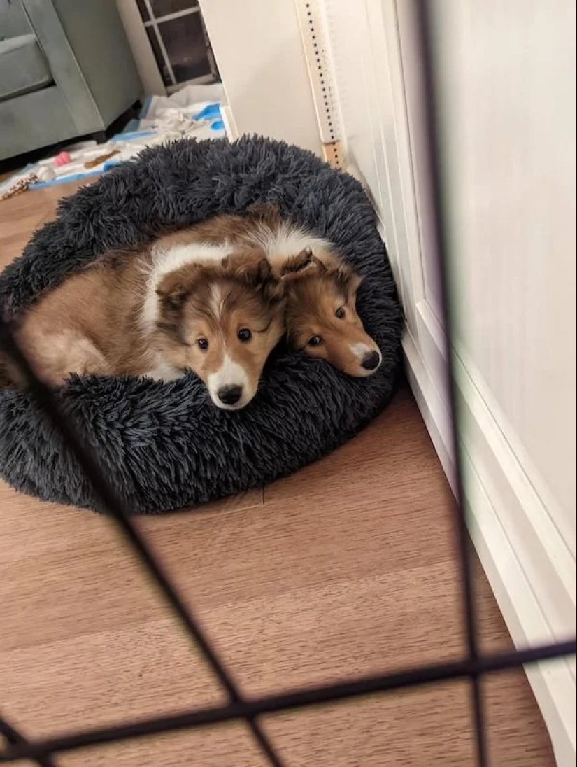 22 photos that you will have to look at from different angles