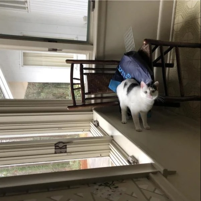 22 photos that you will have to look at from different angles