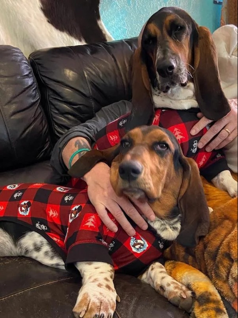 22 photos that you will have to look at from different angles